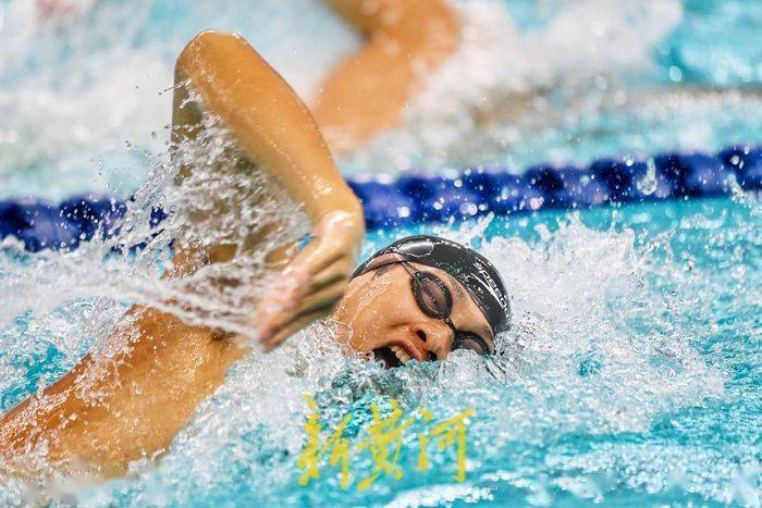 激情四射！游泳比赛掀起观众热潮