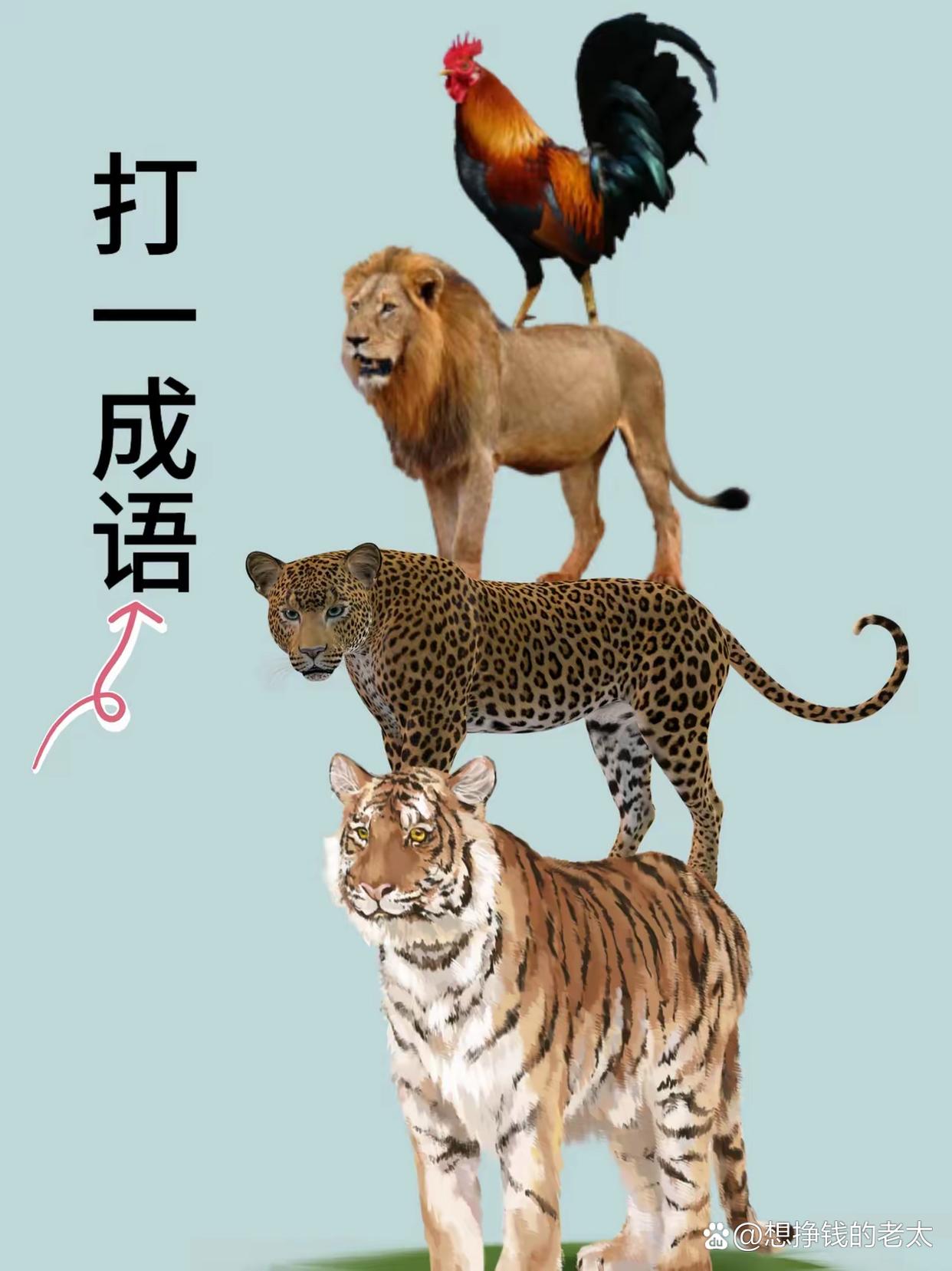 老鹰不敌公牛，遭遇连败